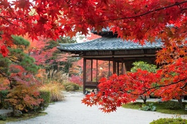 photo01